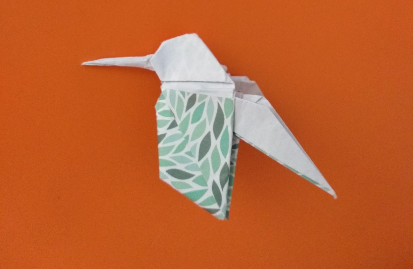 hummingbird