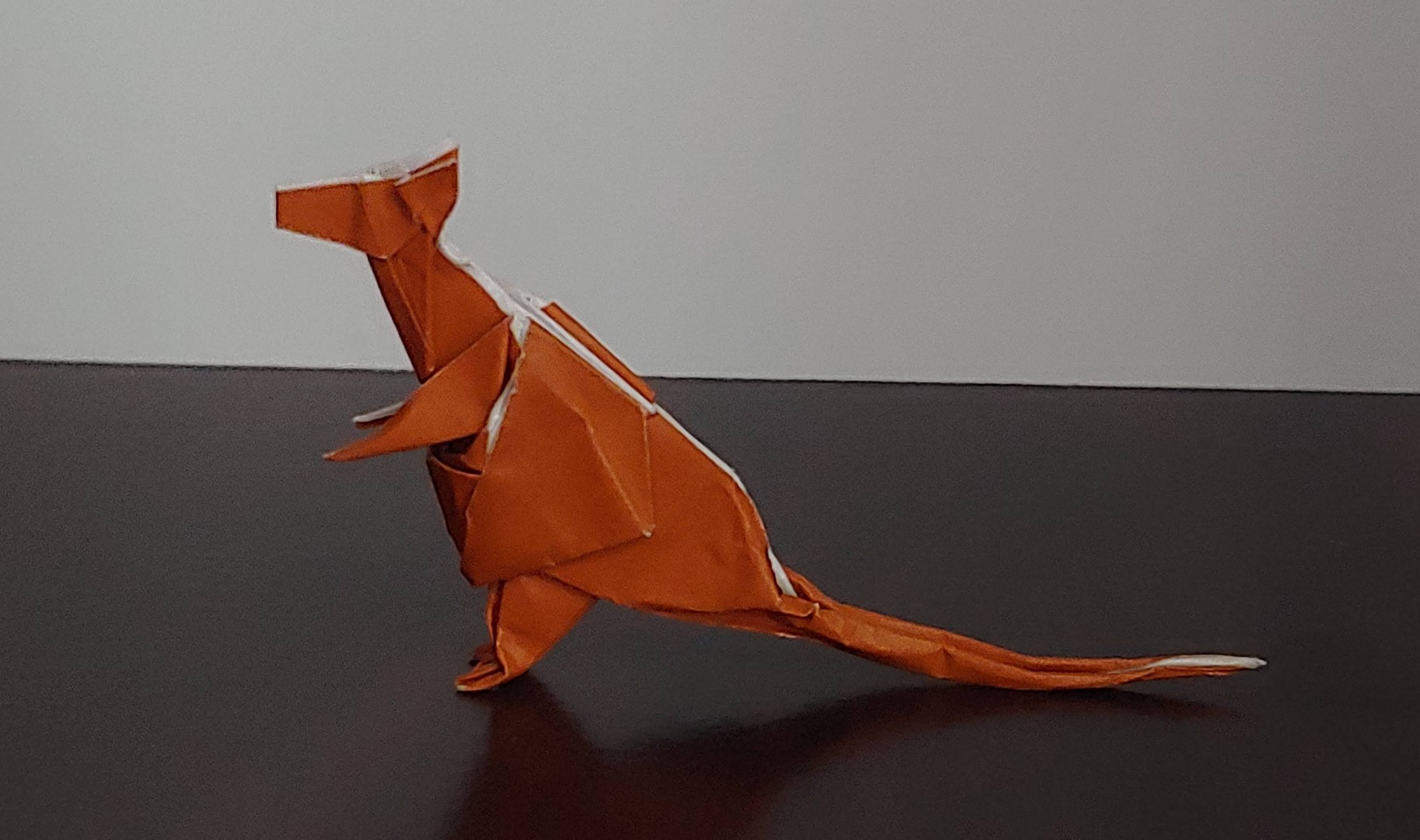 kangaroo
