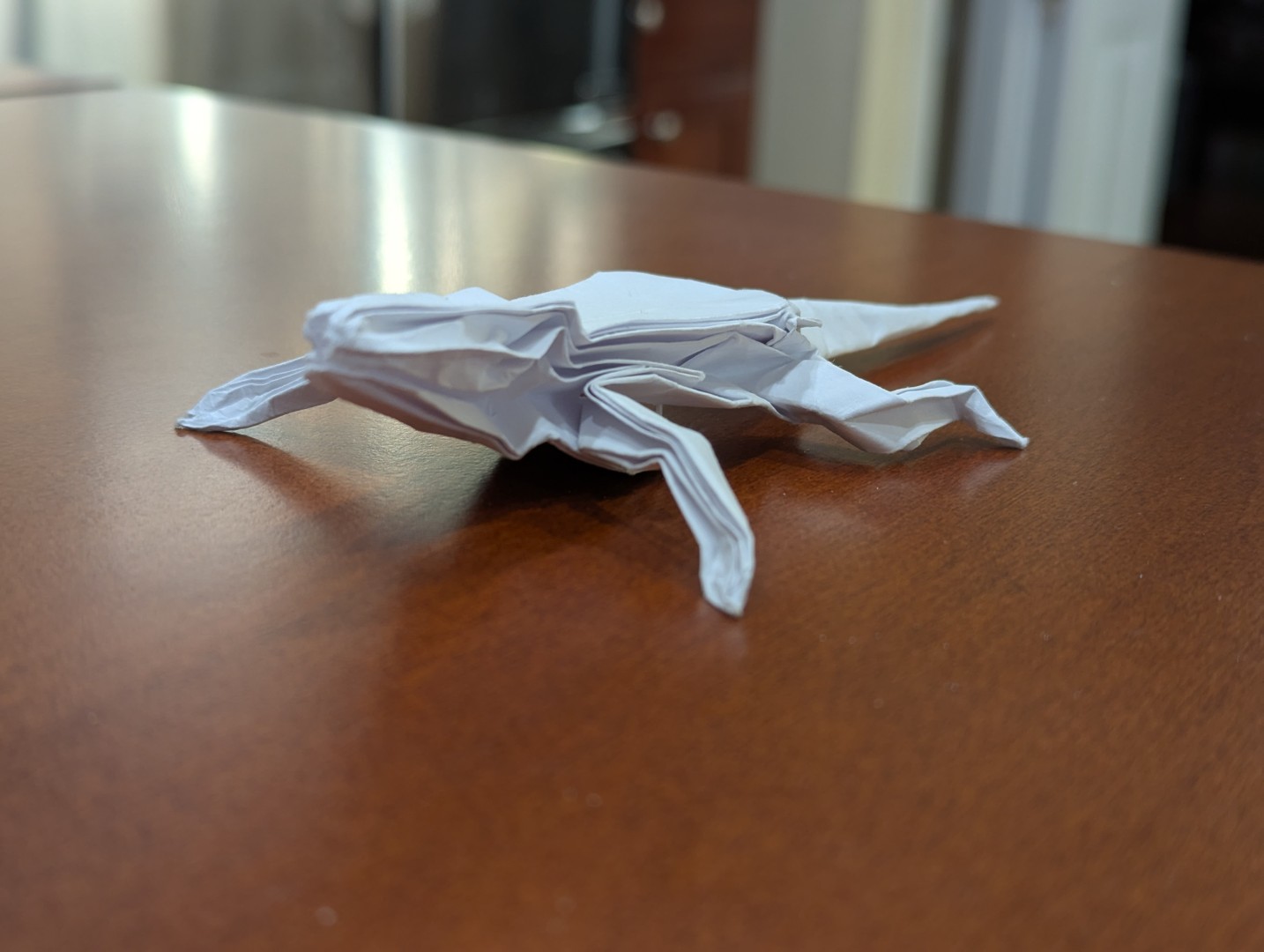 lizard