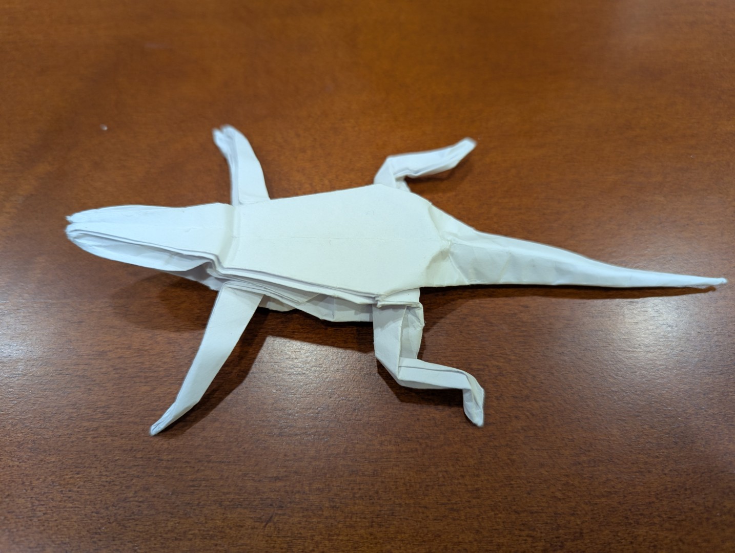 lizard