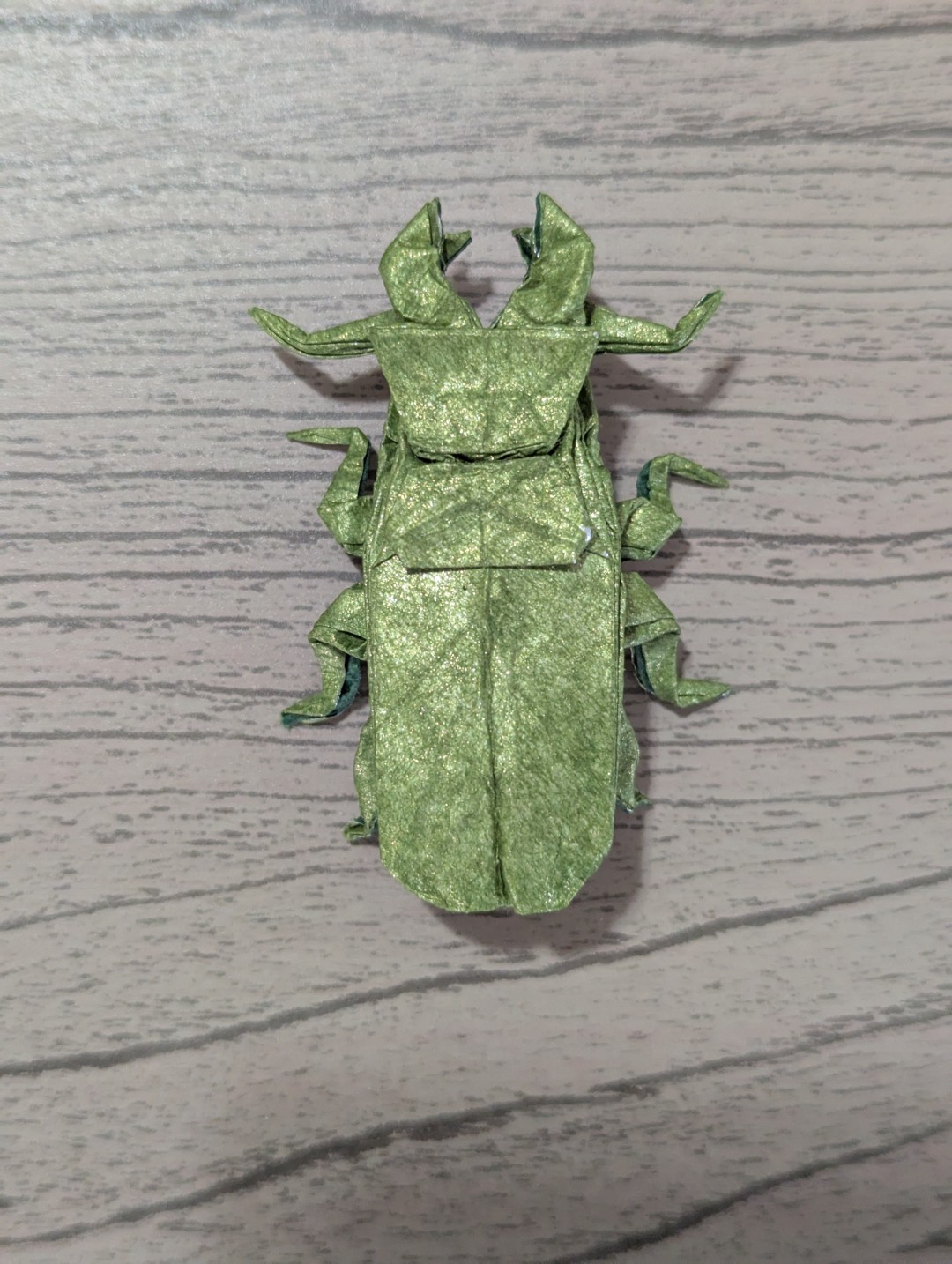 stag beetle