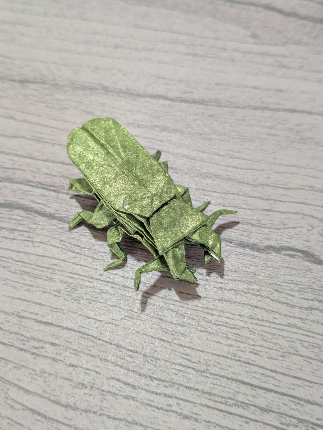stag beetle
