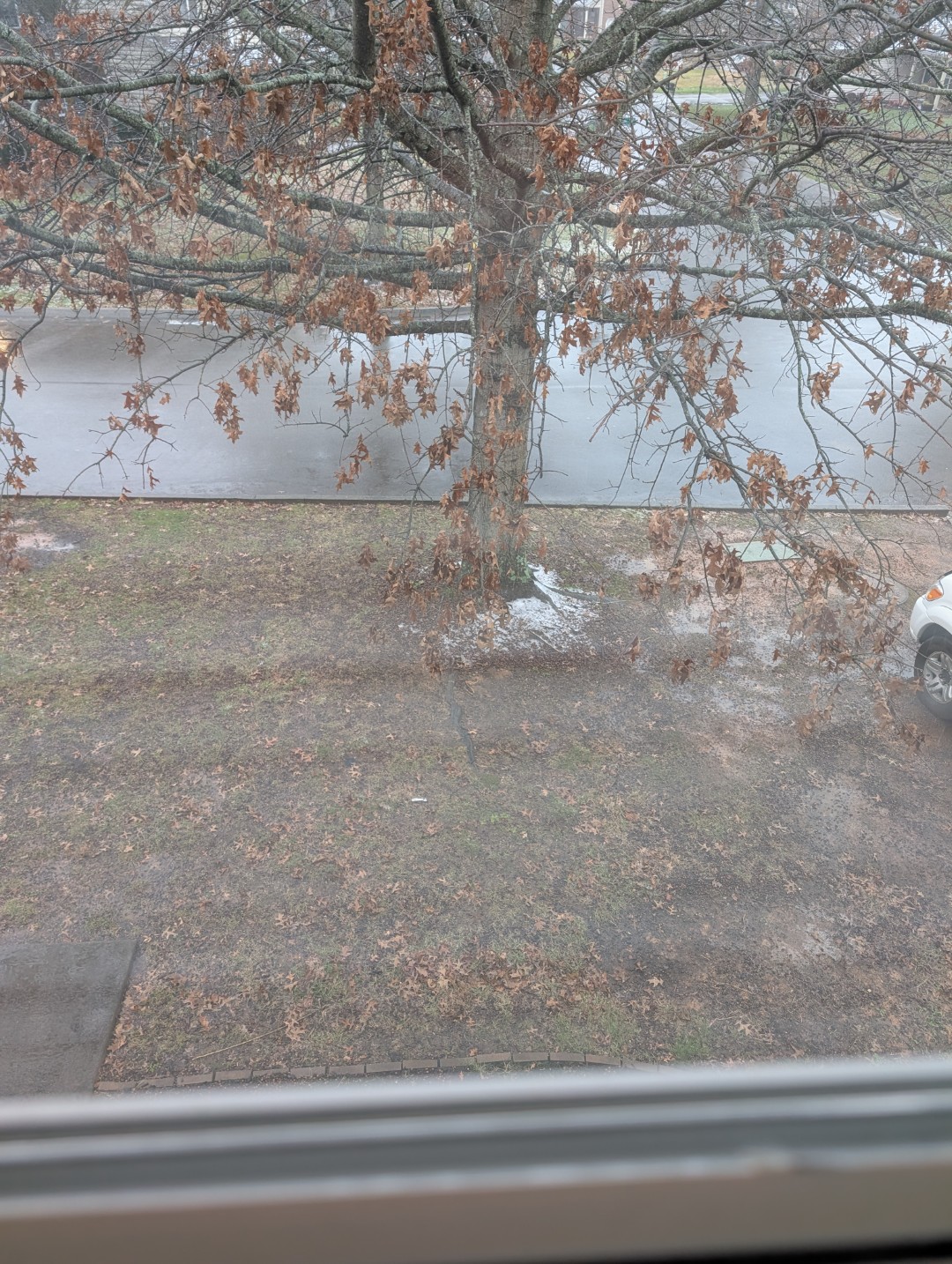 snow