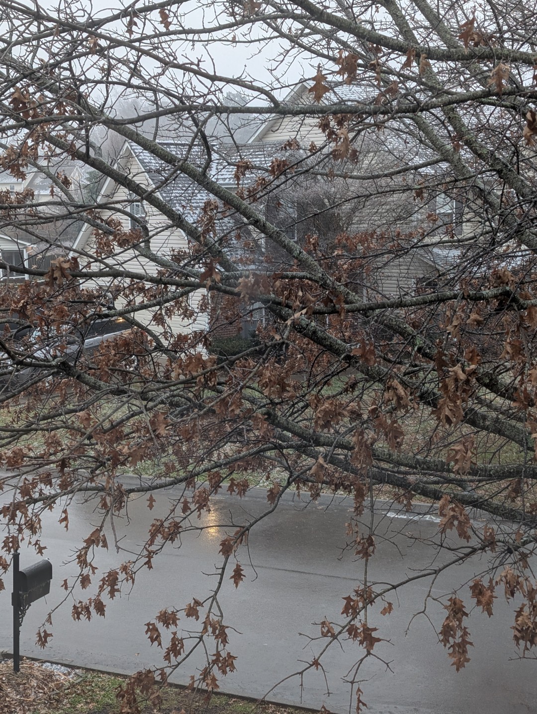 snow