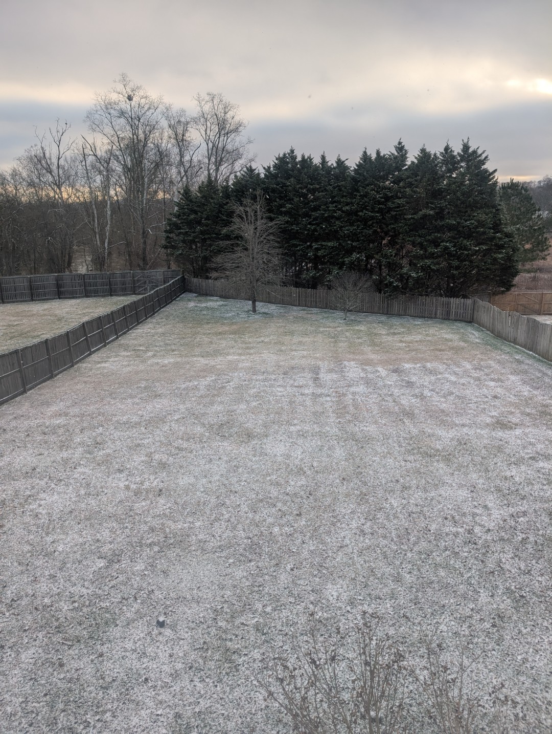 snow